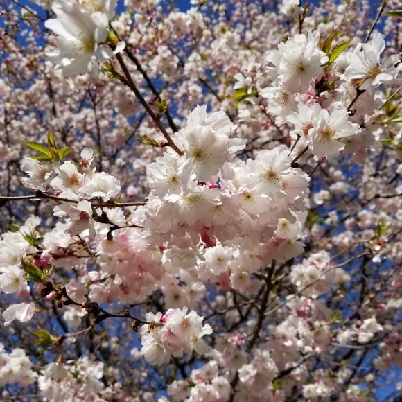 Meet your Posher, Maryl - Picture 10 of 10